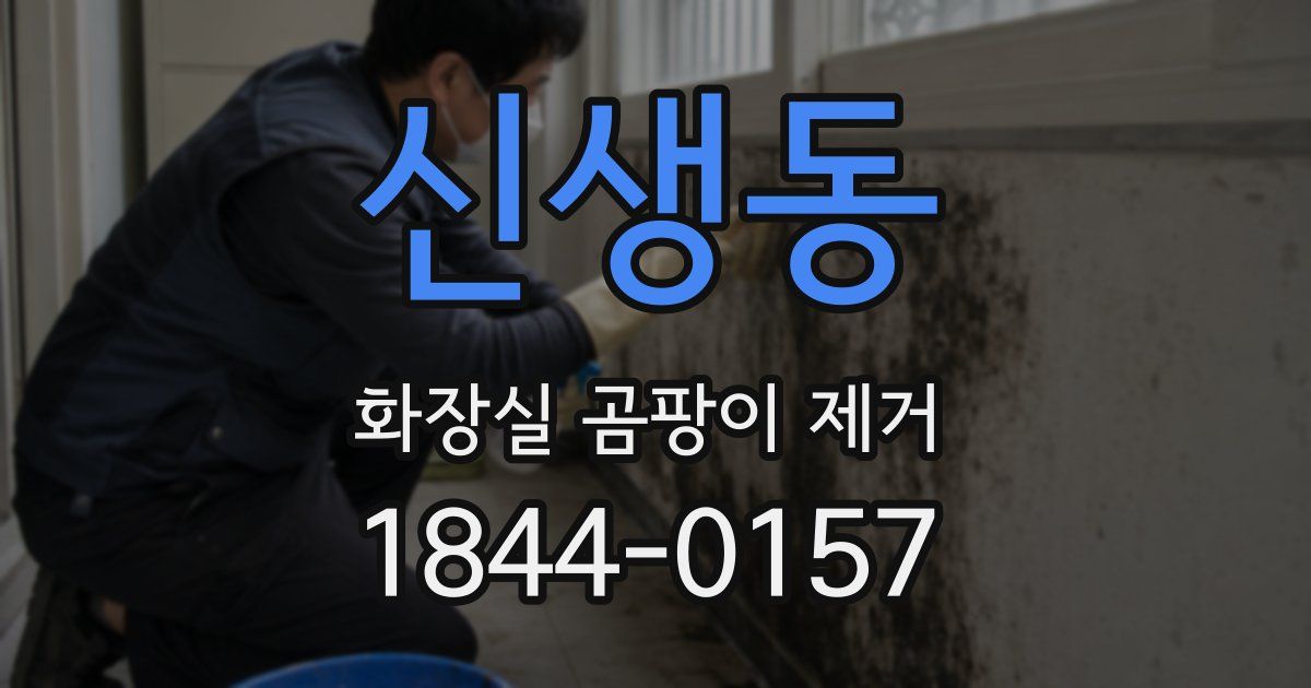 신생동 화장실 곰팡이 제거