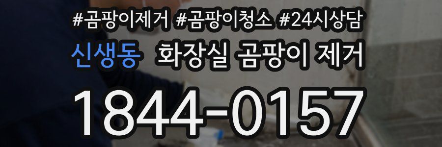 신생동 화장실 곰팡이 제거
