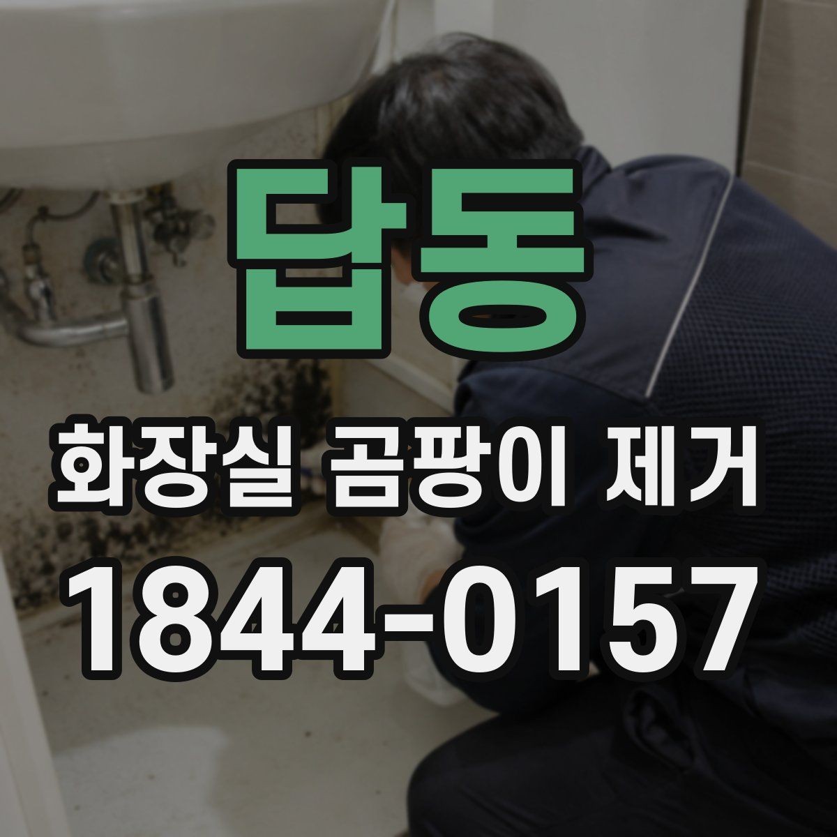 답동 화장실 곰팡이 제거 가정용 세제로 시도할 수 있는 범위
