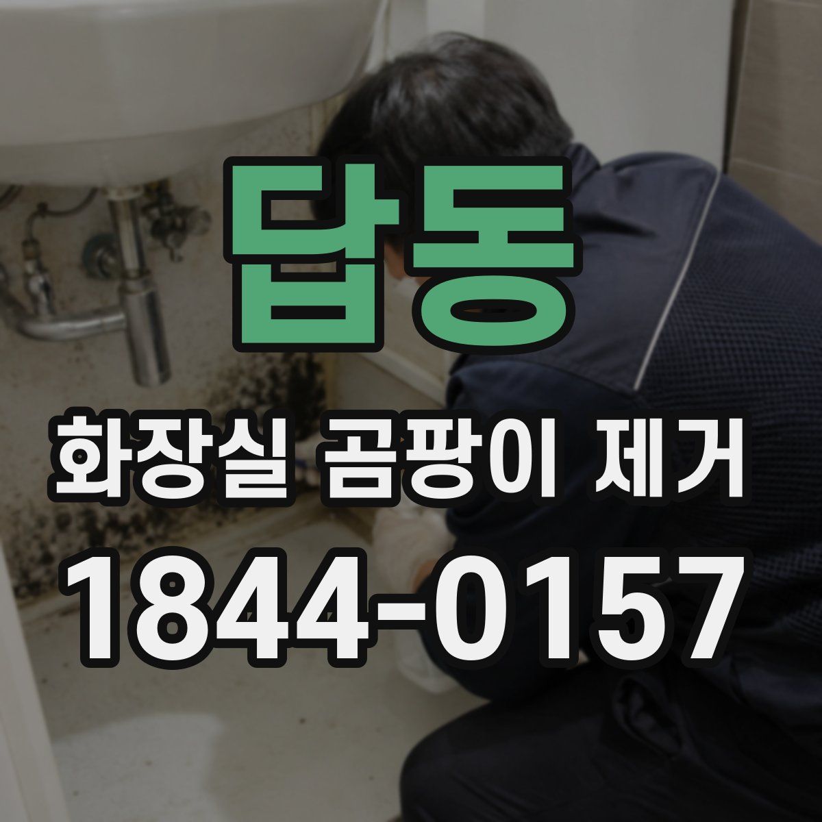 답동 화장실 곰팡이 제거
