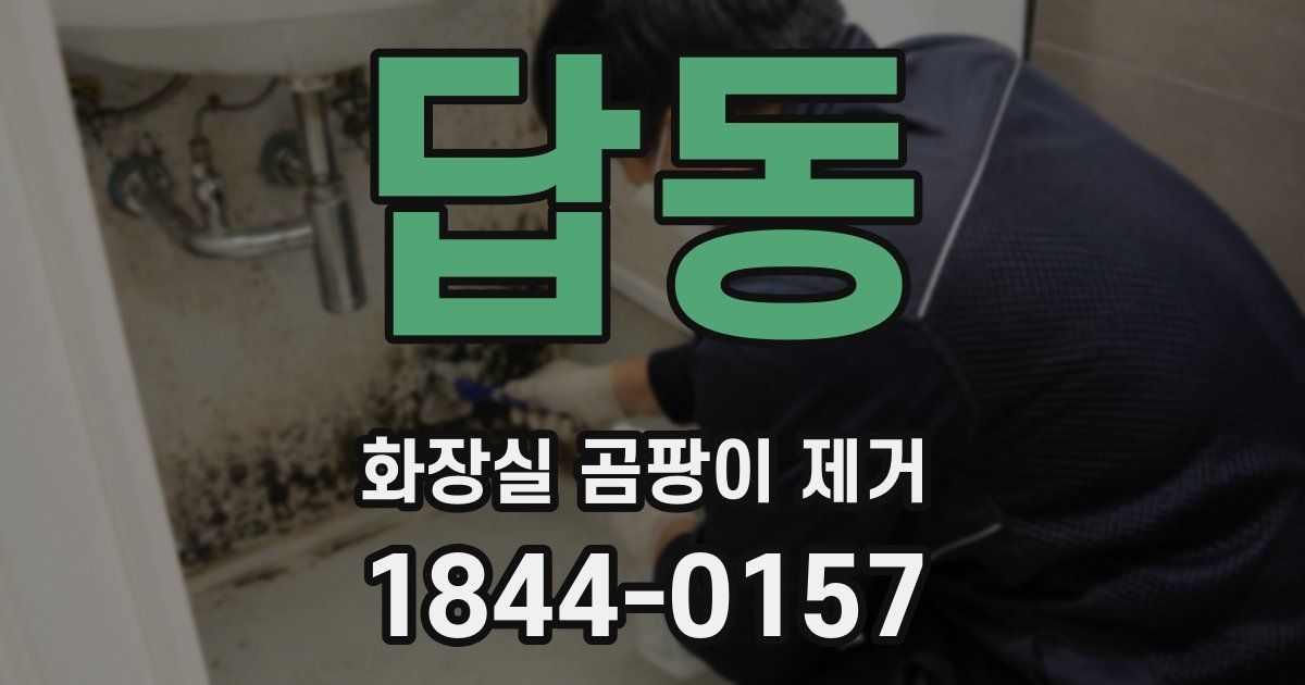 답동 화장실 곰팡이 제거
