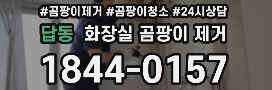 답동 화장실 곰팡이 제거