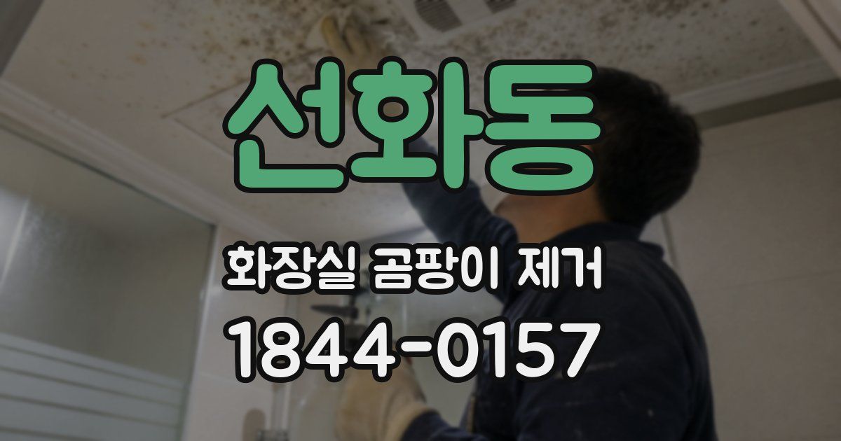 선화동 화장실 곰팡이 제거