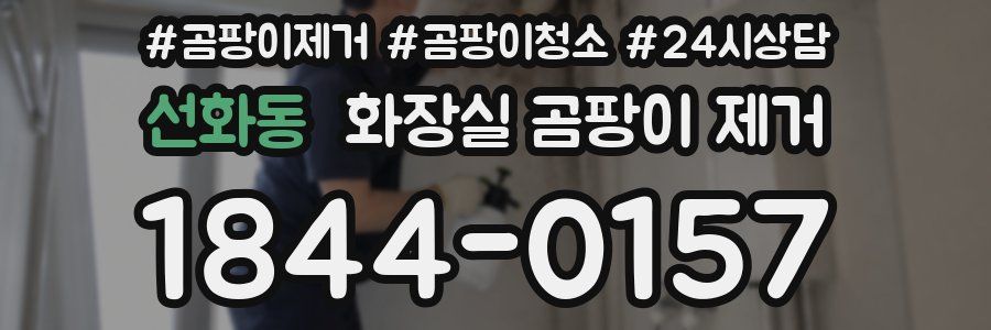 선화동 화장실 곰팡이 제거