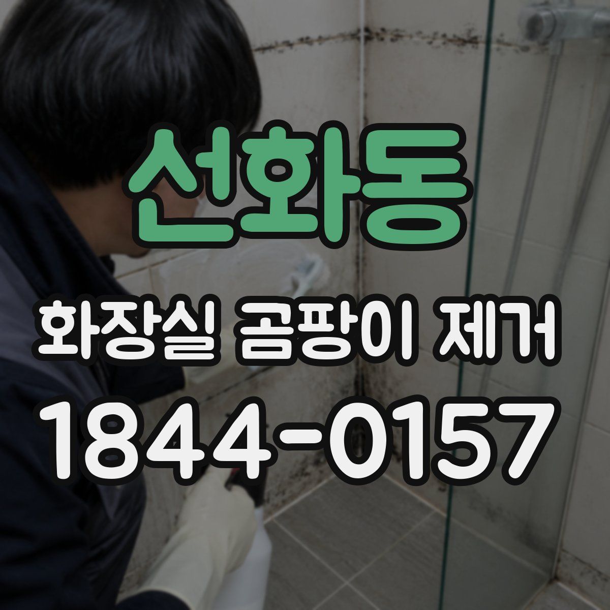 선화동 화장실 곰팡이 제거