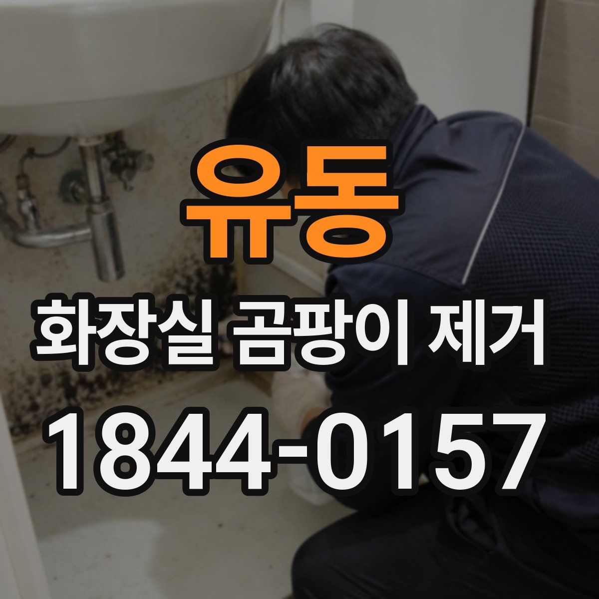 유동 화장실 곰팡이 제거