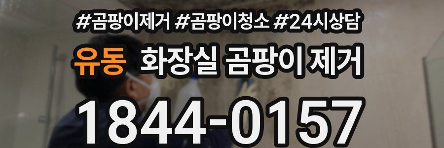유동 화장실 곰팡이 제거