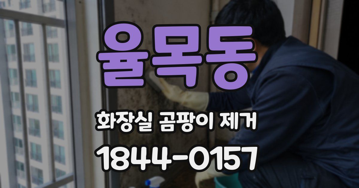 율목동 화장실 곰팡이 제거