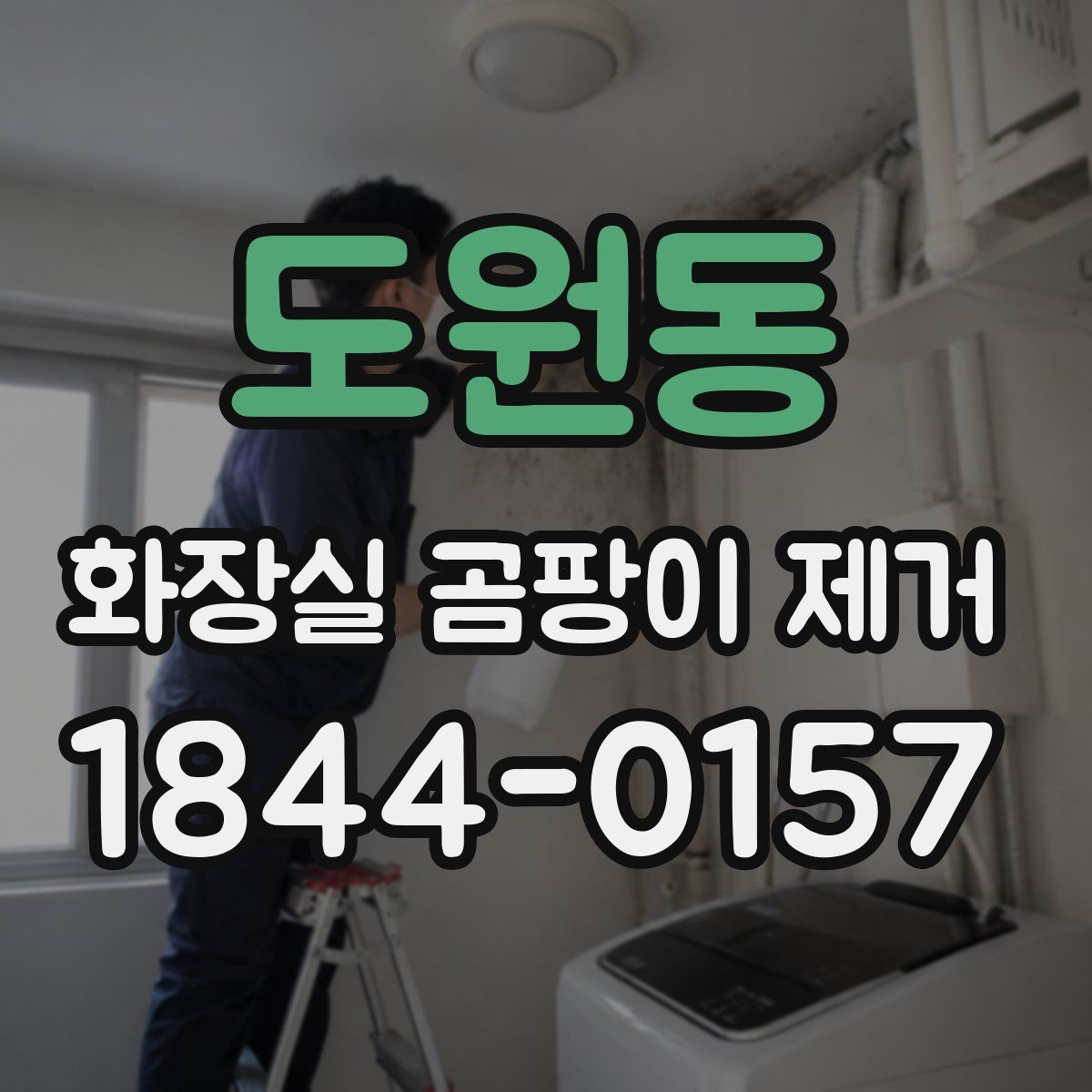도원동 화장실 곰팡이 제거