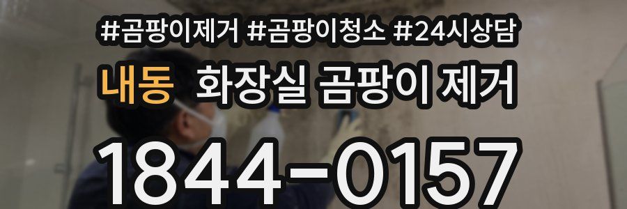내동 화장실 곰팡이 제거