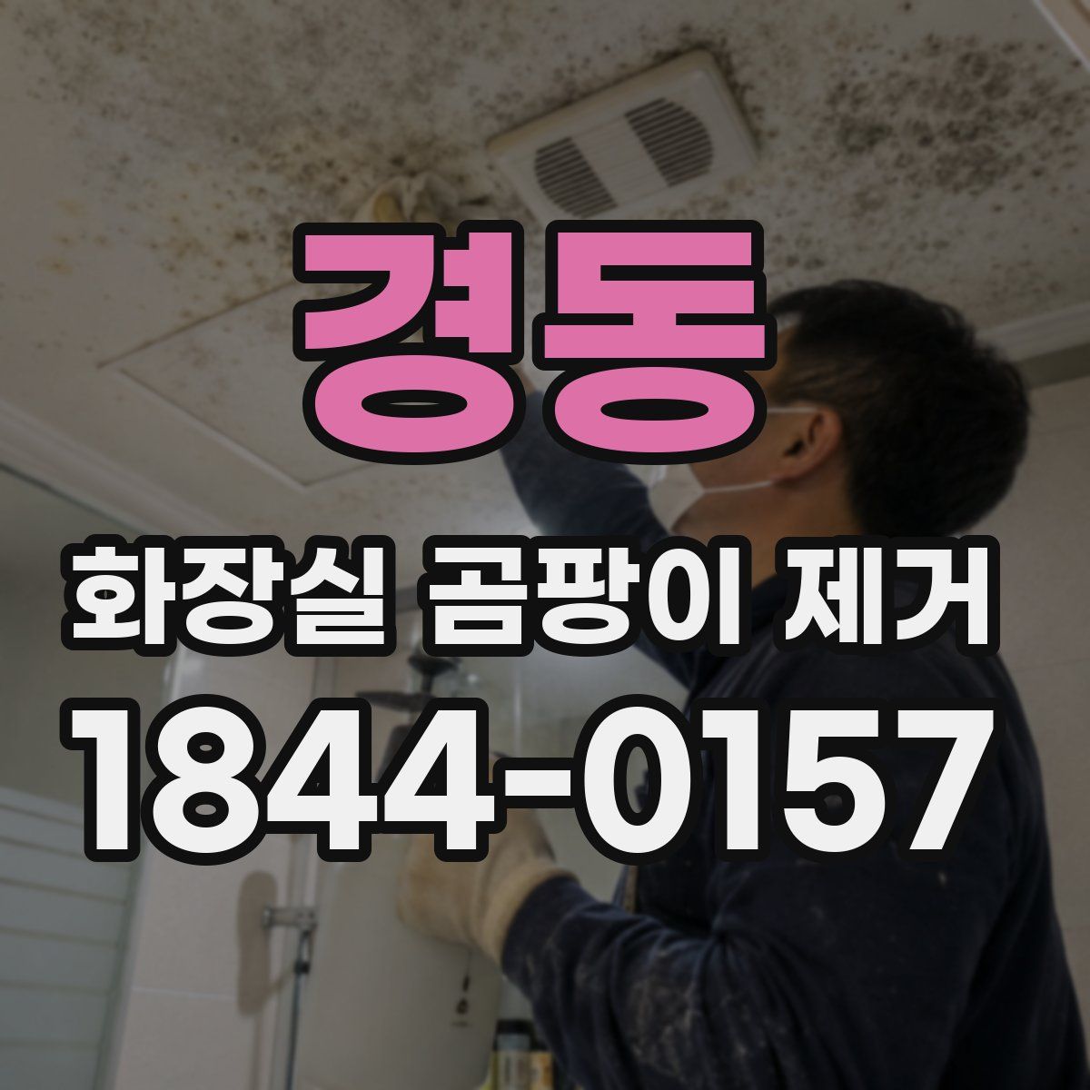 경동 화장실 곰팡이 제거