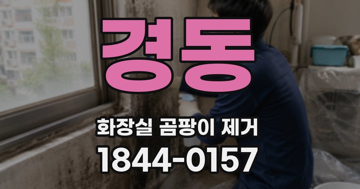 경동 화장실 곰팡이 제거