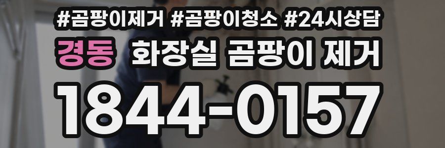 경동 화장실 곰팡이 제거