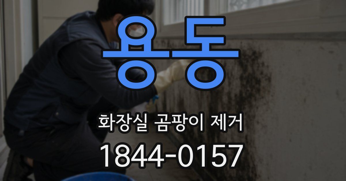 용동 화장실 곰팡이 제거