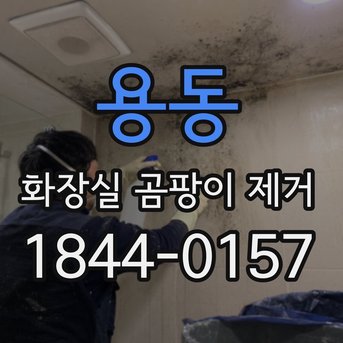 용동 화장실 곰팡이 제거