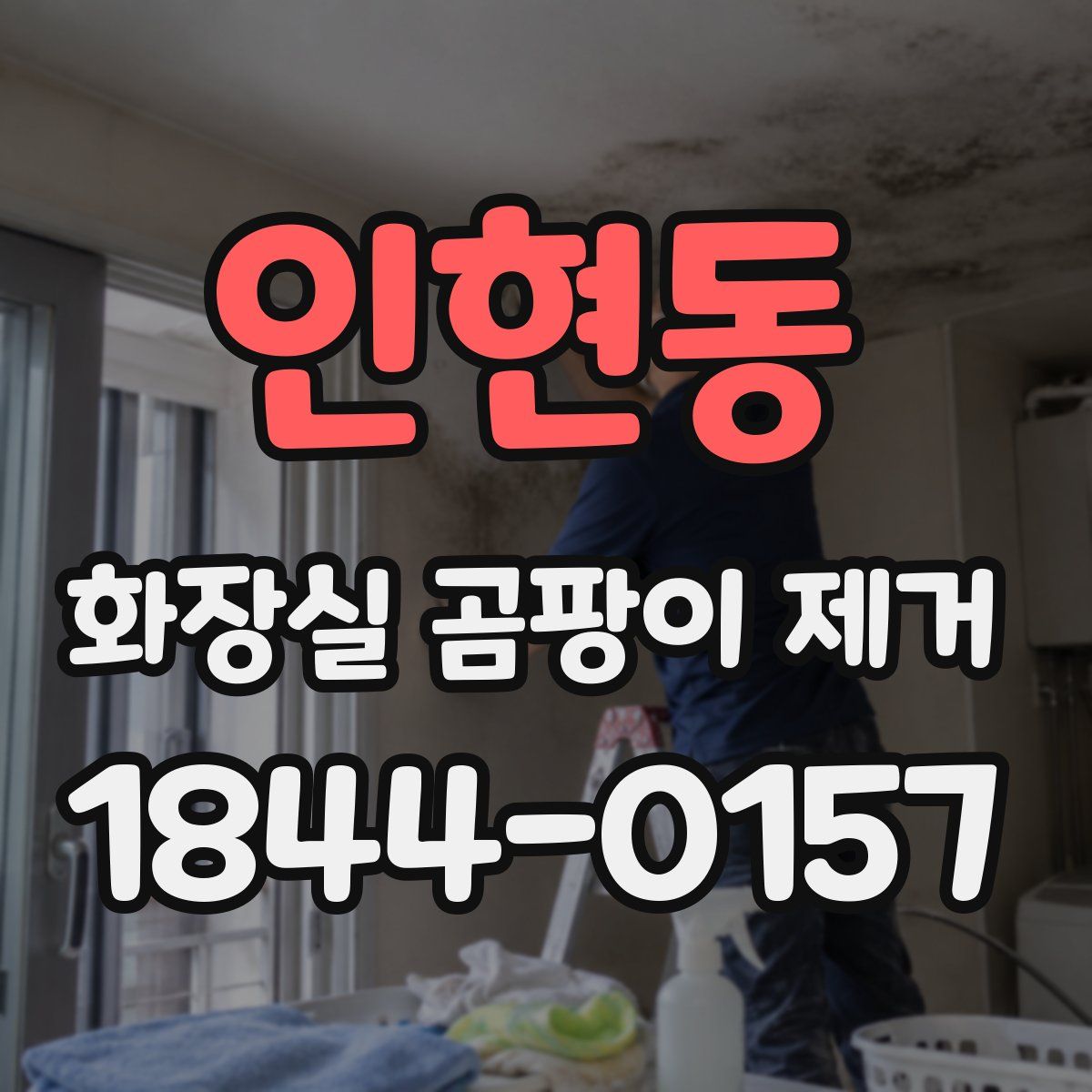 인현동 화장실 곰팡이 제거