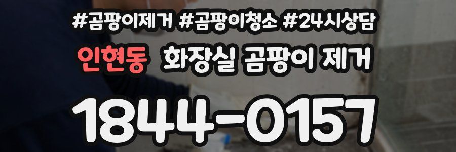 인현동 화장실 곰팡이 제거