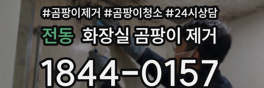 전동 화장실 곰팡이 제거