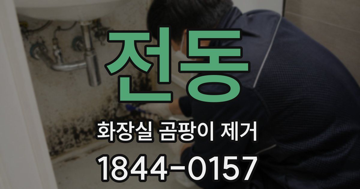 전동 화장실 곰팡이 제거