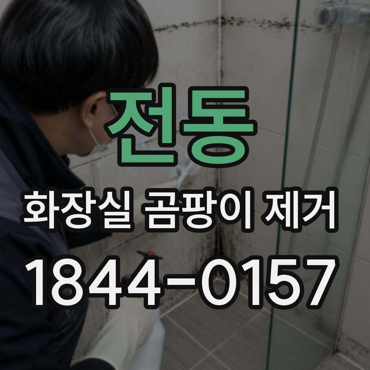 전동 화장실 곰팡이 제거