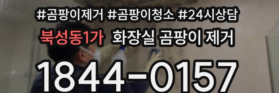 북성동1가 화장실 곰팡이 제거