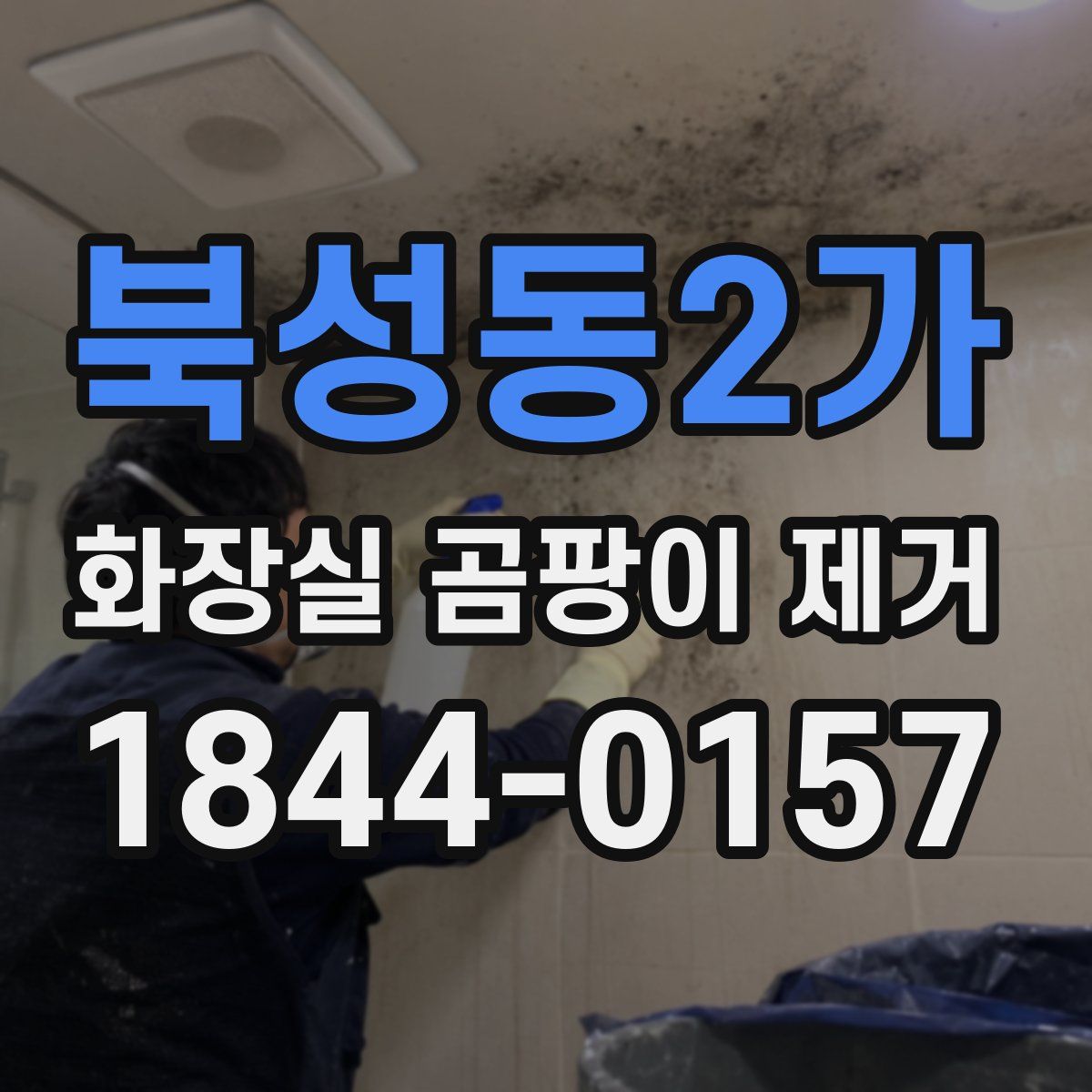 북성동2가 화장실 곰팡이 제거