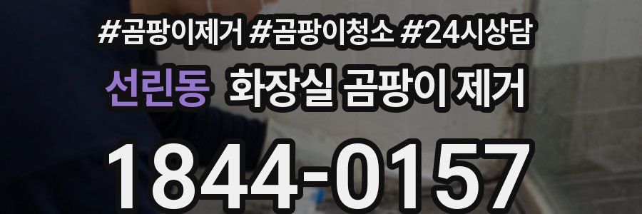 선린동 화장실 곰팡이 제거