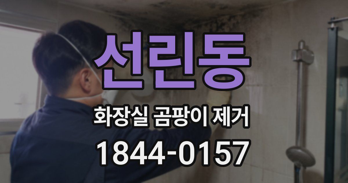 선린동 화장실 곰팡이 제거