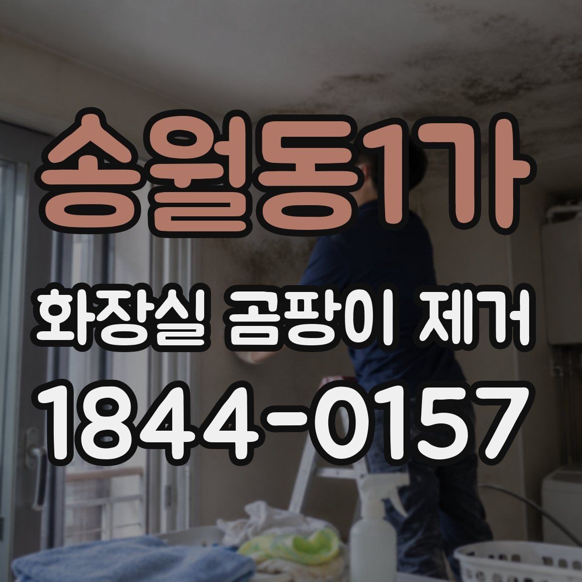 송월동1가 화장실 곰팡이 제거 베란다 없는 집의 습기 관리 연계