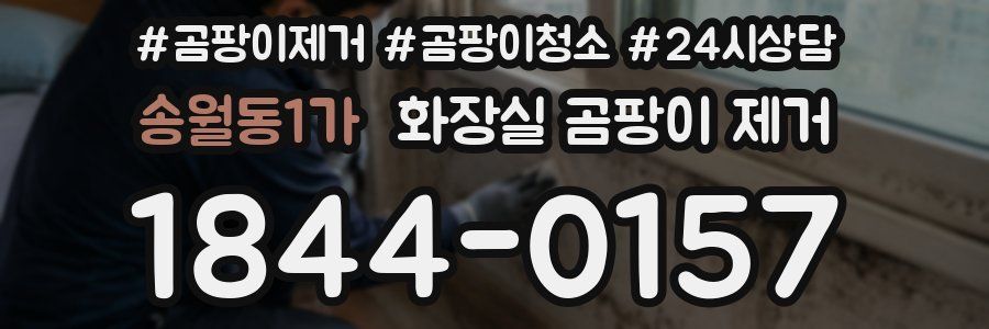 송월동1가 화장실 곰팡이 제거