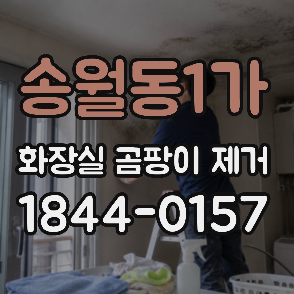 송월동1가 화장실 곰팡이 제거