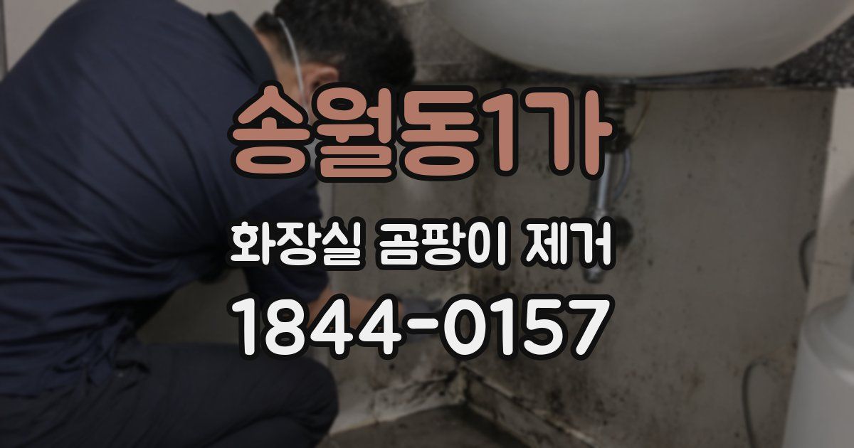 송월동1가 화장실 곰팡이 제거