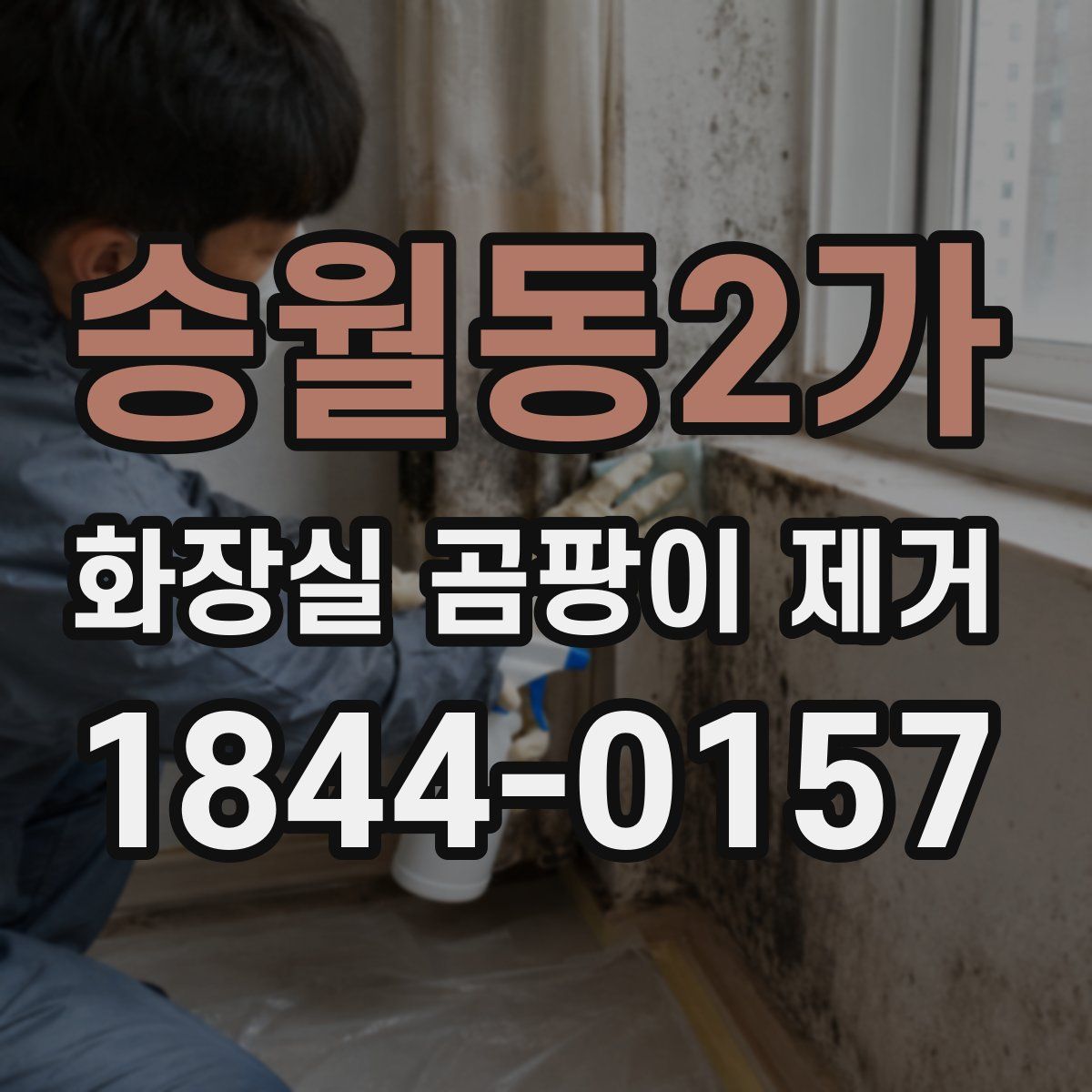 송월동2가 화장실 곰팡이 제거
