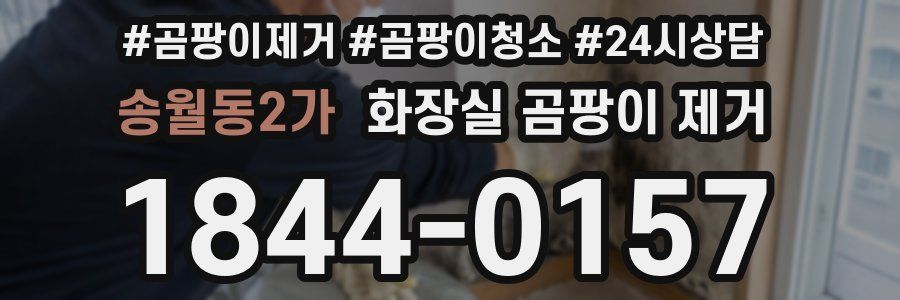 송월동2가 화장실 곰팡이 제거