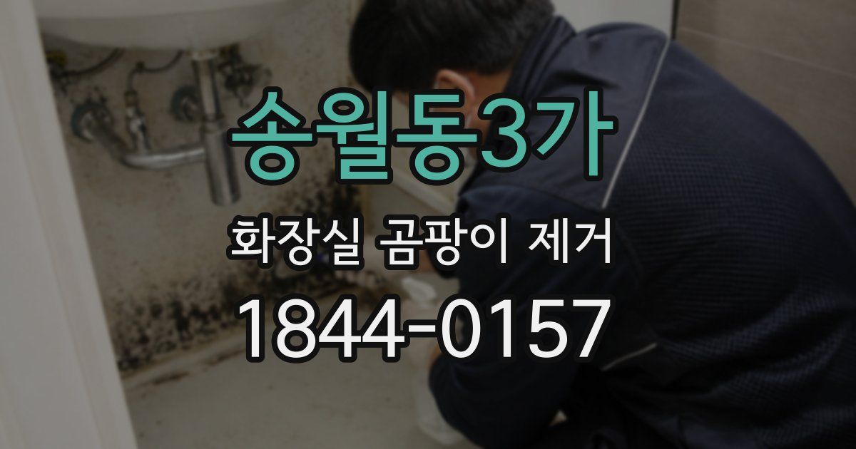 송월동3가 화장실 곰팡이 제거