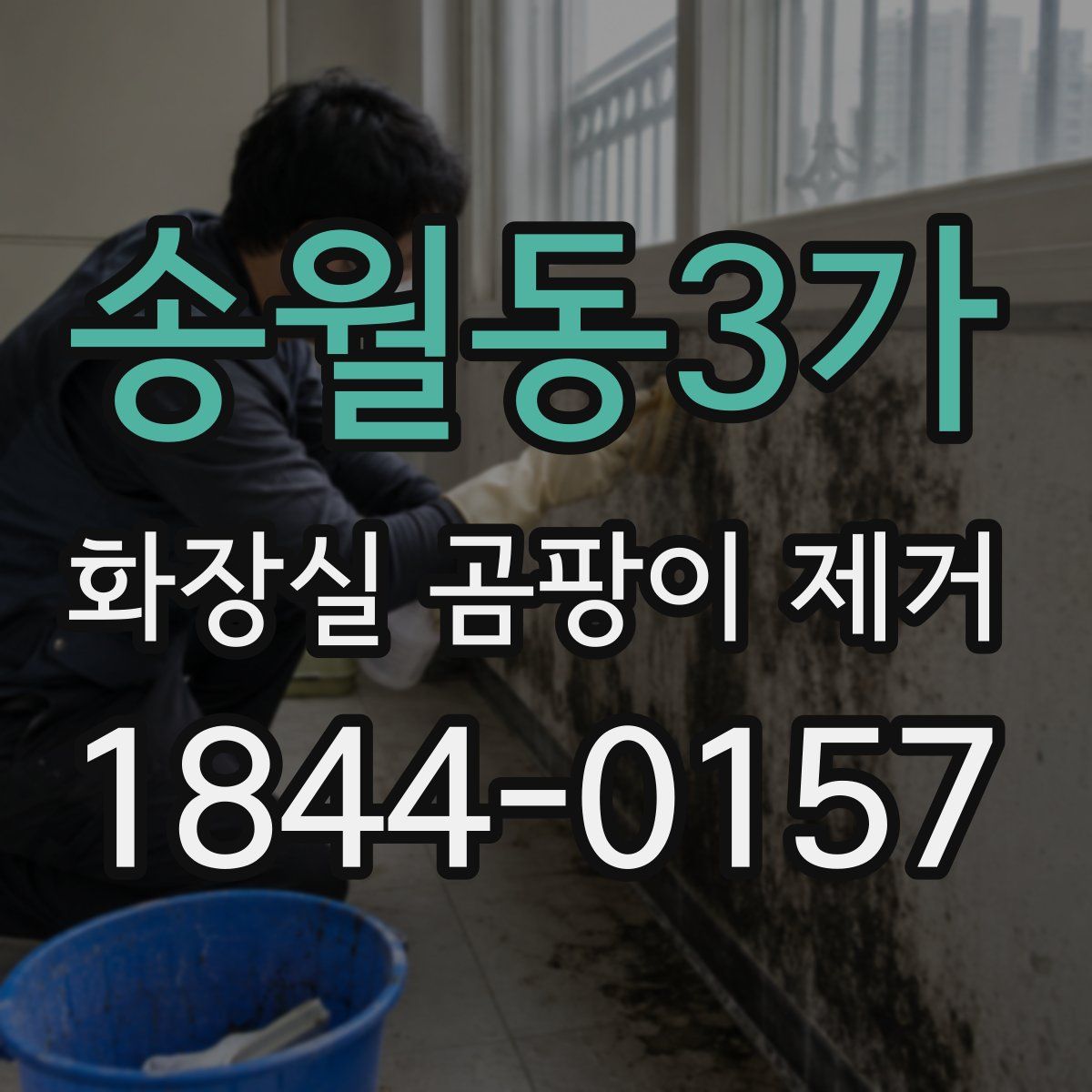 송월동3가 화장실 곰팡이 제거