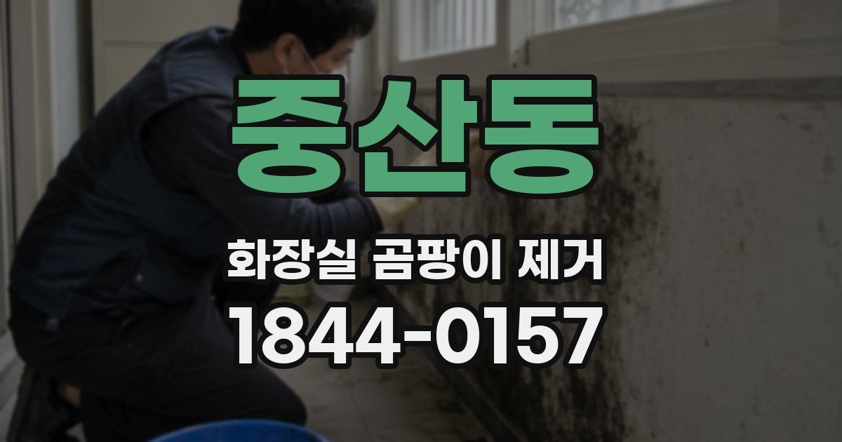 중산동 화장실 곰팡이 제거