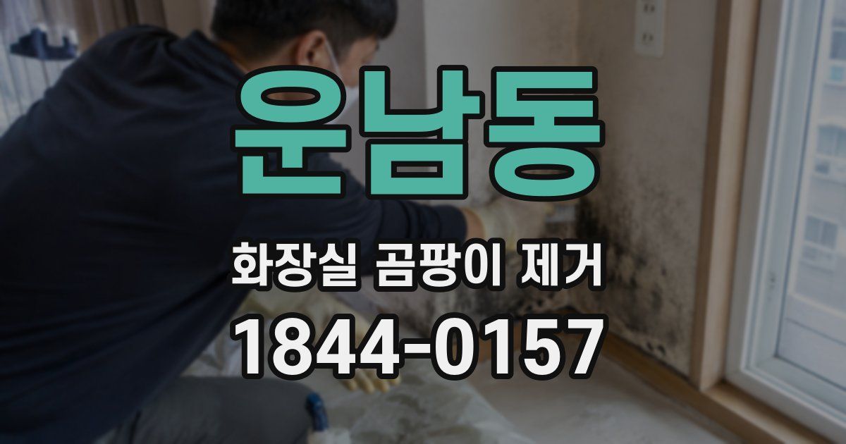 운남동 화장실 곰팡이 제거