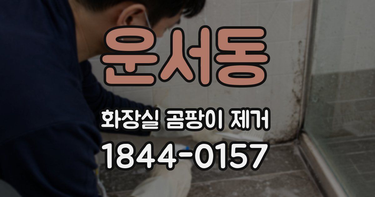 운서동 화장실 곰팡이 제거