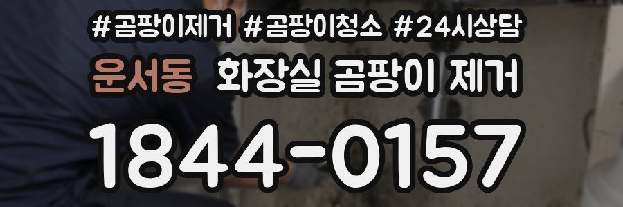 운서동 화장실 곰팡이 제거