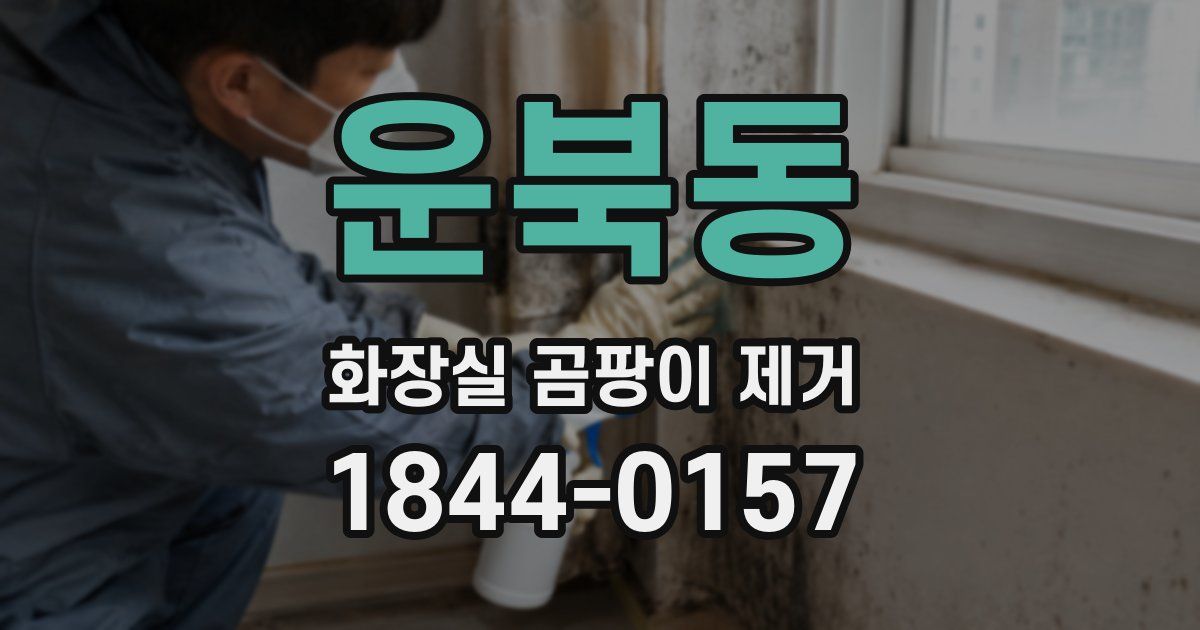 운북동 화장실 곰팡이 제거