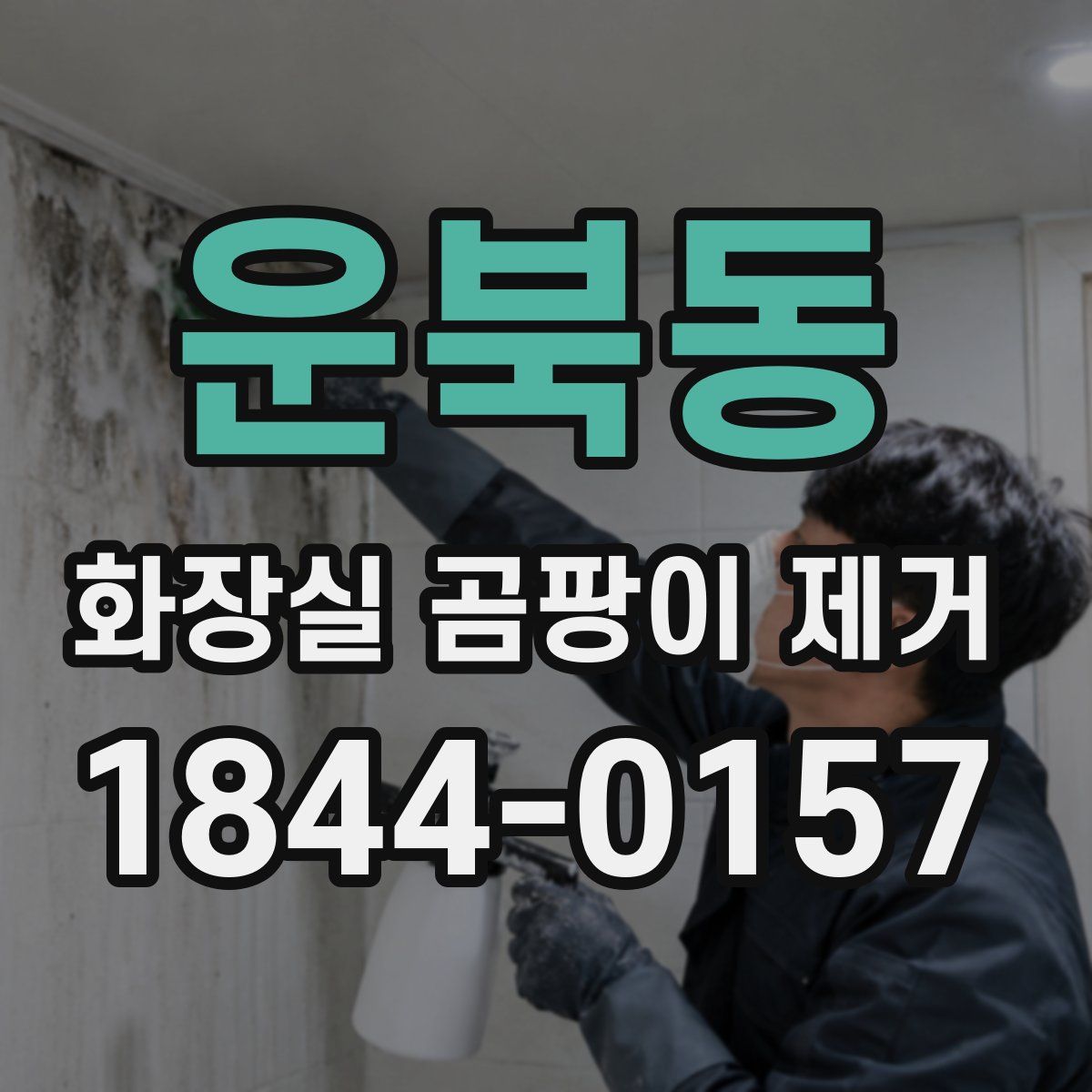 운북동 화장실 곰팡이 제거