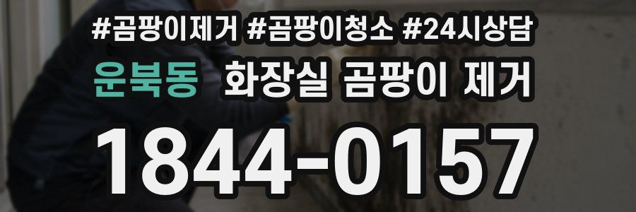 운북동 화장실 곰팡이 제거