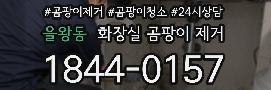 을왕동 화장실 곰팡이 제거