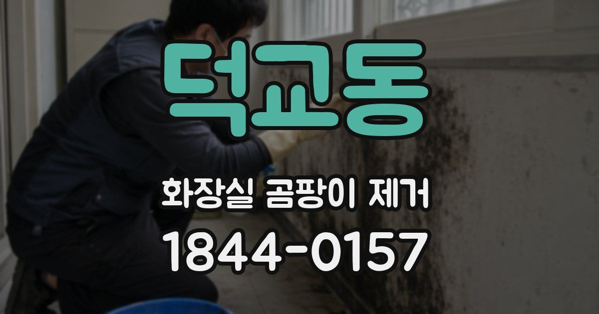 덕교동 화장실 곰팡이 제거