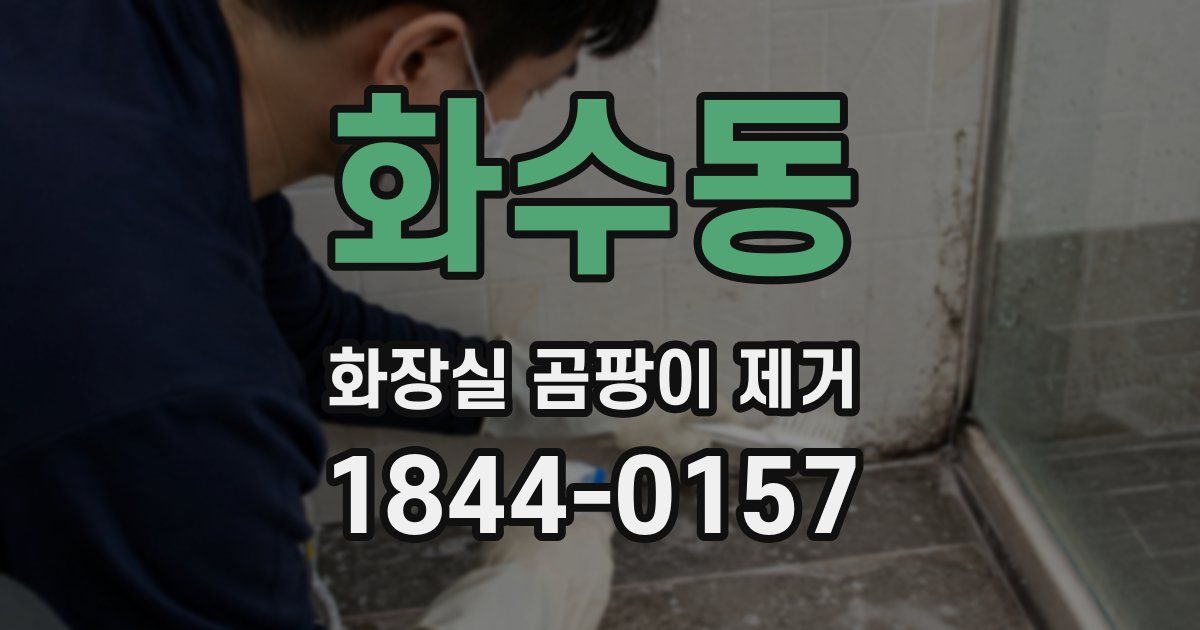 화수동 화장실 곰팡이 제거
