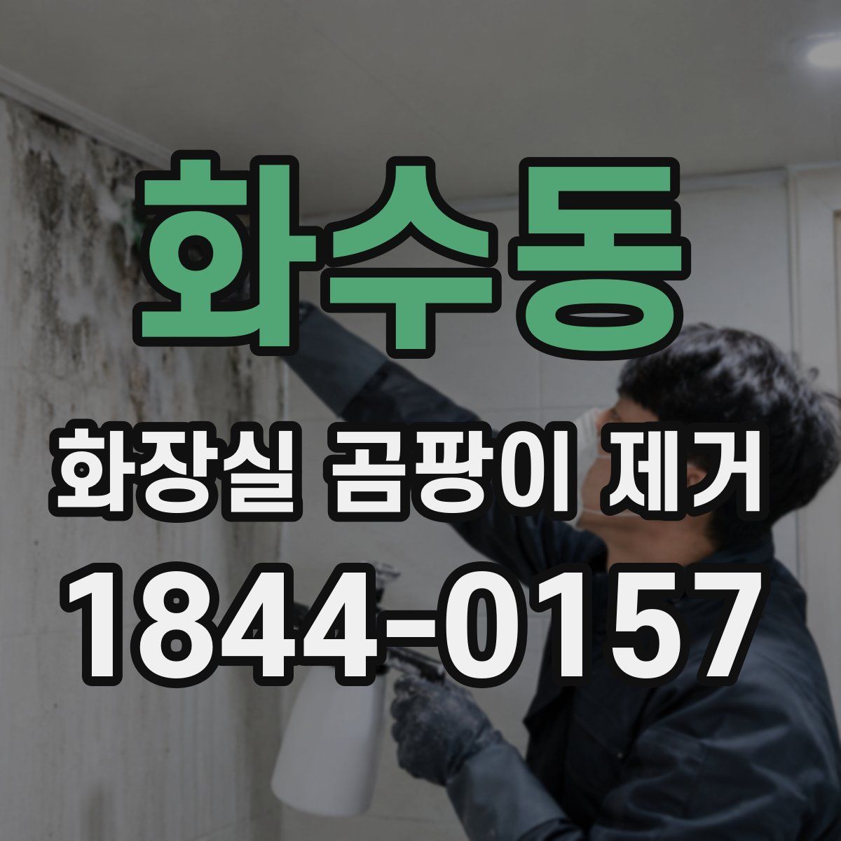 화수동 화장실 곰팡이 제거