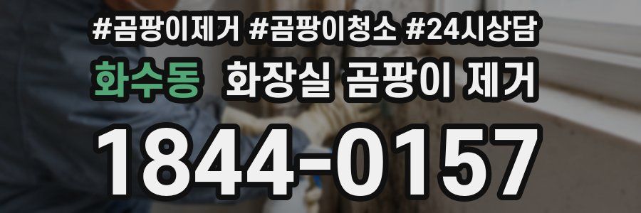 화수동 화장실 곰팡이 제거