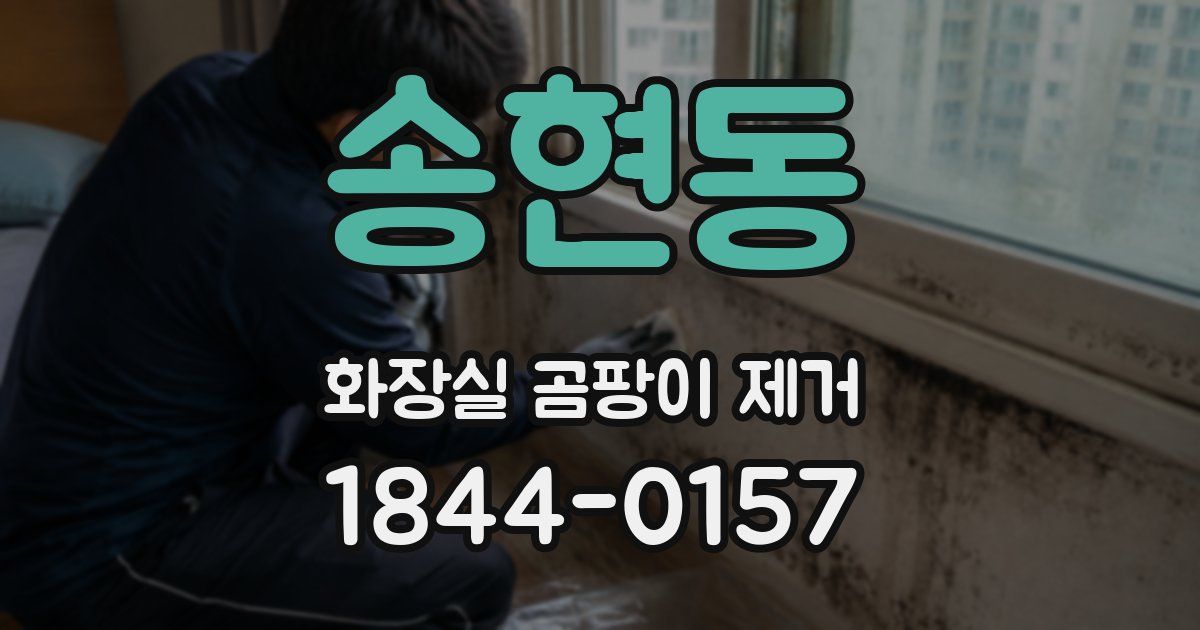 송현동 화장실 곰팡이 제거