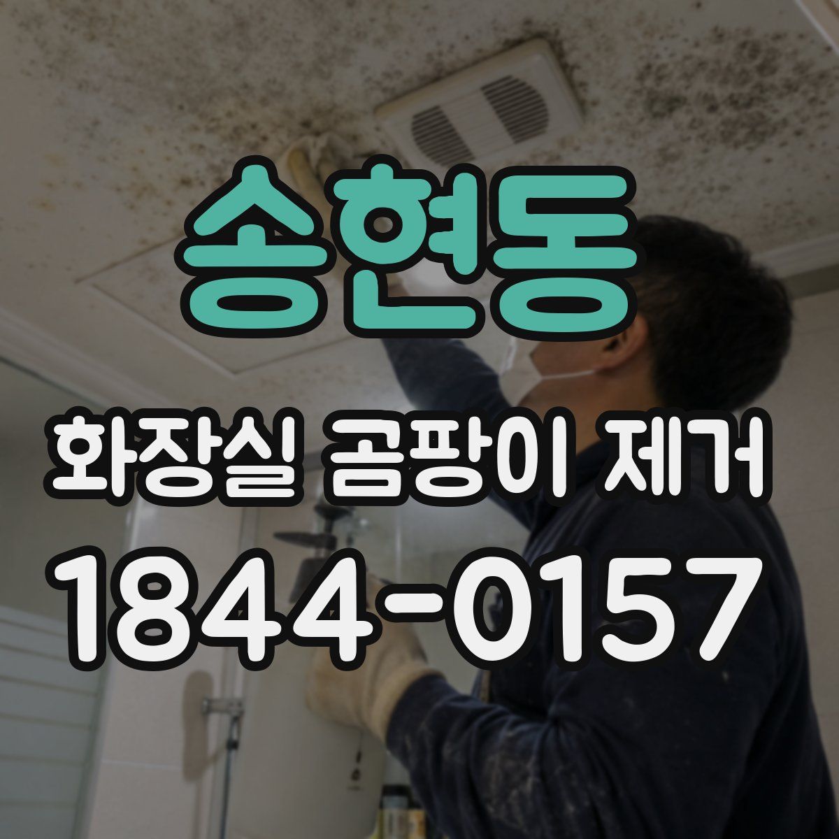 송현동 화장실 곰팡이 제거